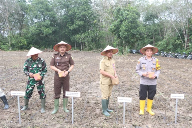 Pemkab Balangan dan Polres Dukung Penanaman Jagung 1 Juta Hektare