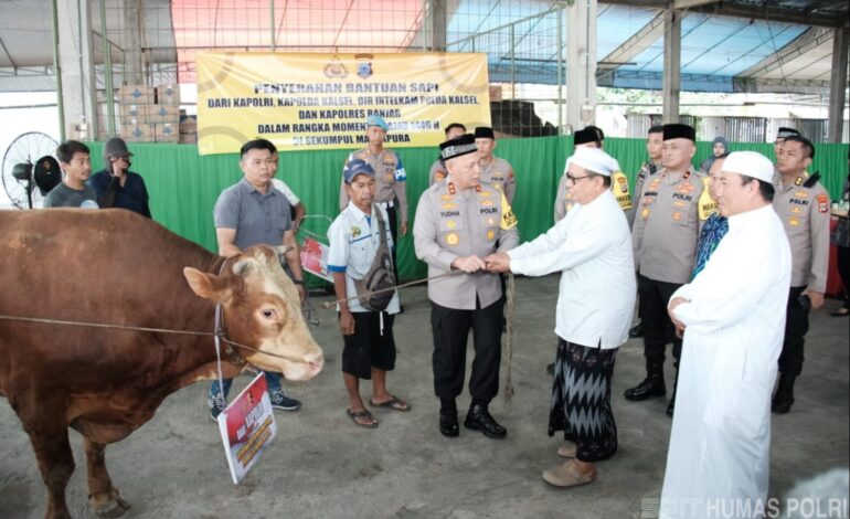 Kapolri Sumbang 4 Ekor Sapi Limosin Dukung Haul Guru Sekumpul
