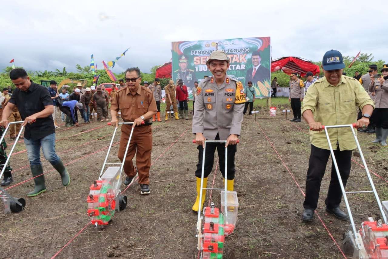 Pemkab HST Dukung Penanaman Jagung 1 Juta Hektare