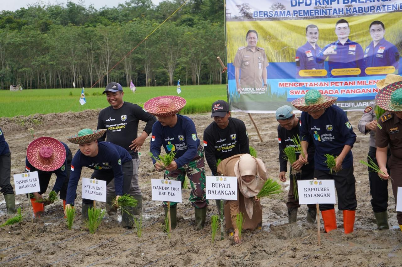 Dukung Swasembada Pangan, KNPI Balangan Aksi Tanam Padi Bersama Petani Milenial