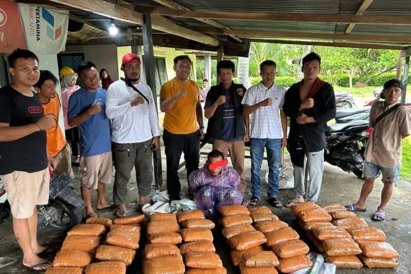 Polisi Gagalkan Peredaran 82 Paket Besar Ganja Kering