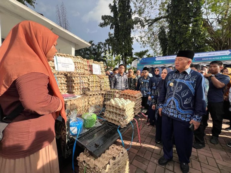 Gubernur dan Wagub Kalsel Tinjau Pasar Wadai di Banjarmasin