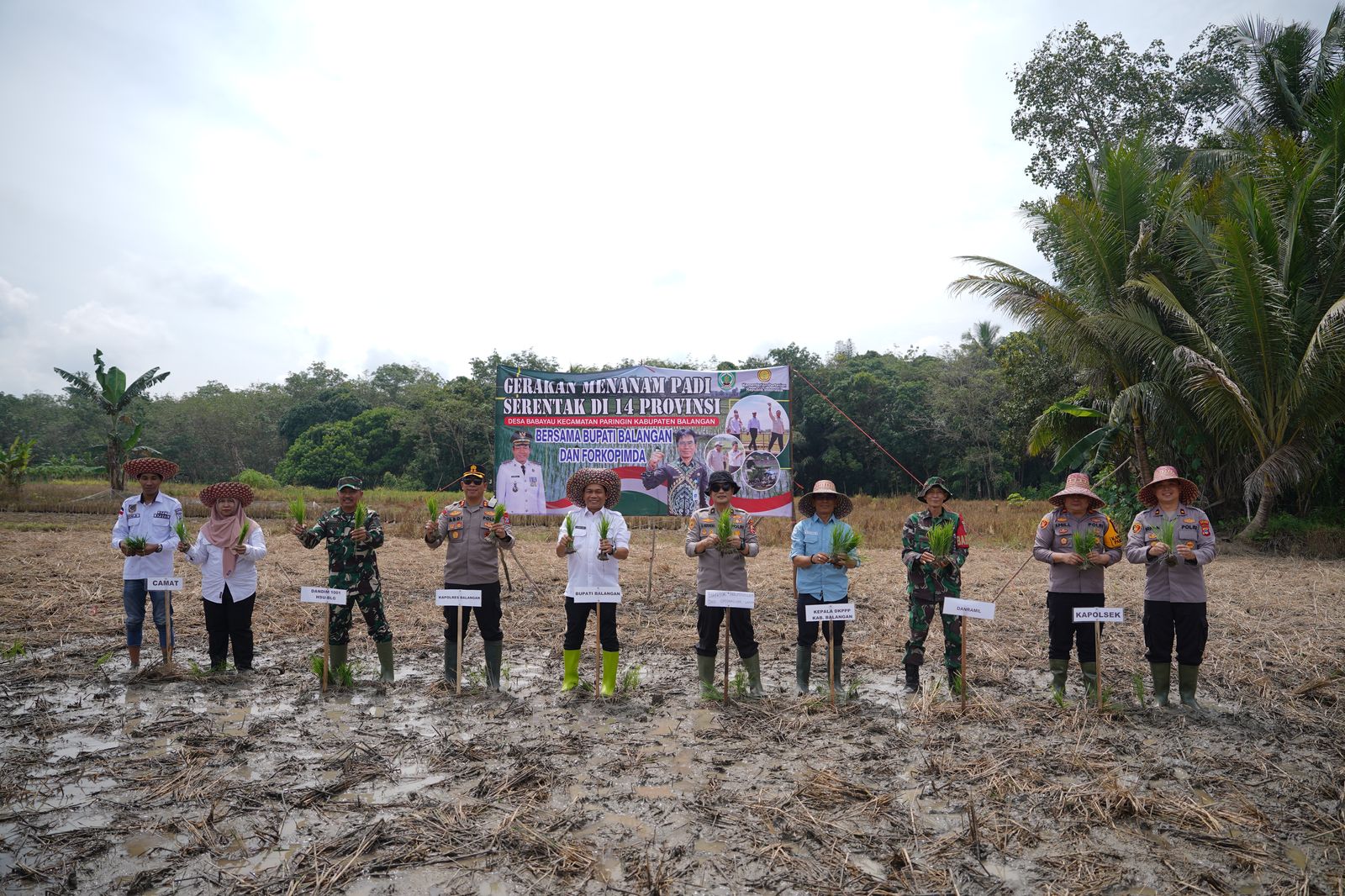 Pemkab Balangan Ikut Gerakan Menanami Padi Serentak Nasional