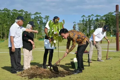 Wapres Gibran Tanam Pohon Ulin di IKN: Simbol Ketangguhan dan Harapan