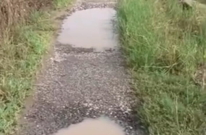 Puluhan Tahun Jalan Rusak, Warga Desa Pemurus Mengadu ke Presiden Prabowo