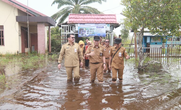 Wabup Barito Kuala Kunjungi Sekolah Terdampak Banjir di Kuripan