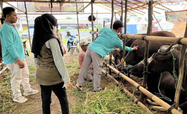 Jelang Idul Adha, Disbunnak Batola Jamin Hewan Ternak Bebas Penyakit