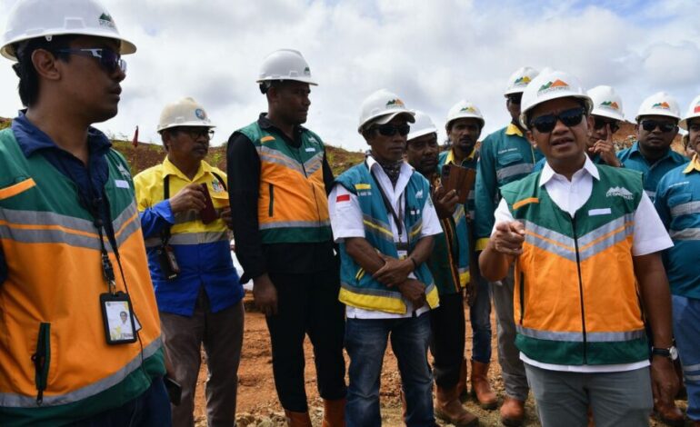 Hasil Temuan Menteri ESDM soal Tambang Nikel di Raja Ampat