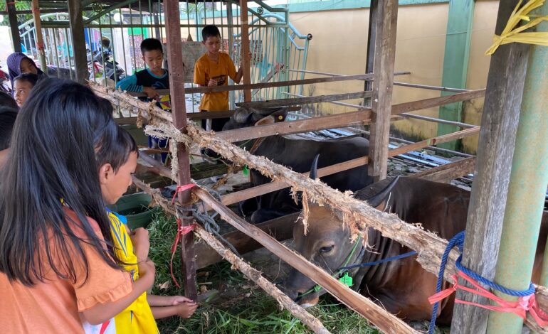 Bupati Batola Serahkan Bantuan Sapi Kurban Presiden RI kepada Warga Desa Tatah Mesjid