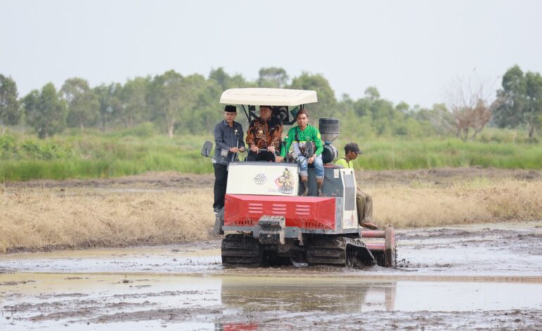 Bupati Barito Kuala Dukung Pertanian Berkelanjutan Capai 3 Kali Panen Setahun