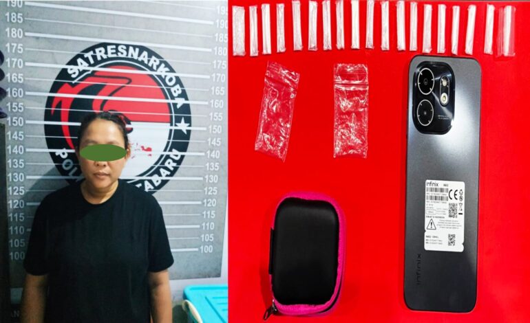 RK Seorang Ibu Rumah Tangga Nekat Simpan 19 Paket Narkoba