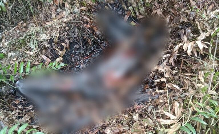 Mayat Membusuk Gegerkan Masyarakat Gambut, Identitas Masih Misterius