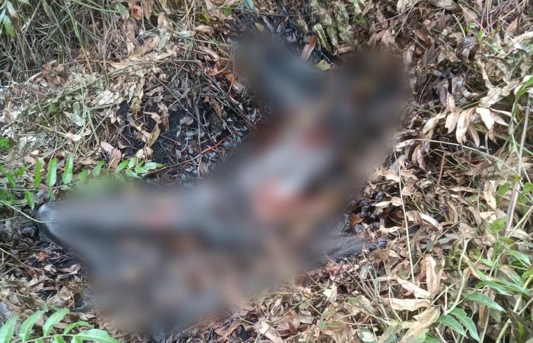Mayat Membusuk Gegerkan Masyarakat Gambut, Identitas Masih Misterius