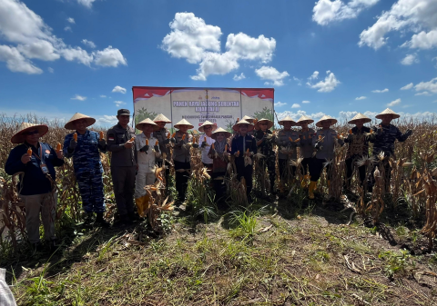 Polda Kalsel Panen 41 Ton Jagung di Lahan Rawa Basah