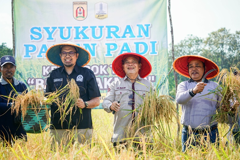 DPRD Banjarbaru Apresiasi Semangat Petani Sungai Ulin dalam Syukuran Panen Padi