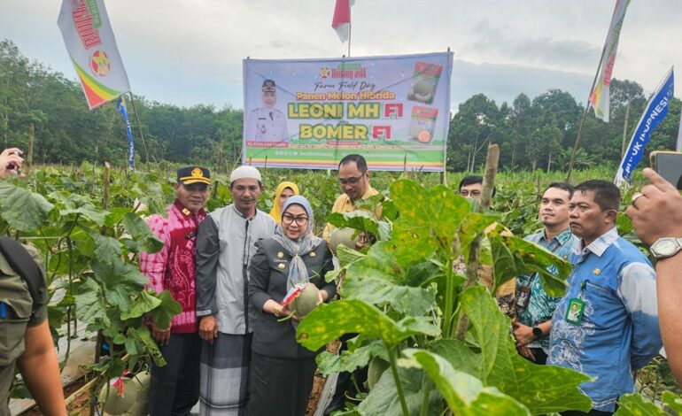 Panen Melon di Banjarbaru, Wali Kota Dorong Pertanian Jadi Sumber Lapangan Kerja