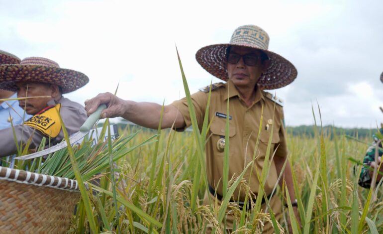 Pemkab Balangan Gandeng Petani Tingkatkan Produktivitas dan Ketahanan Pangan Daerah