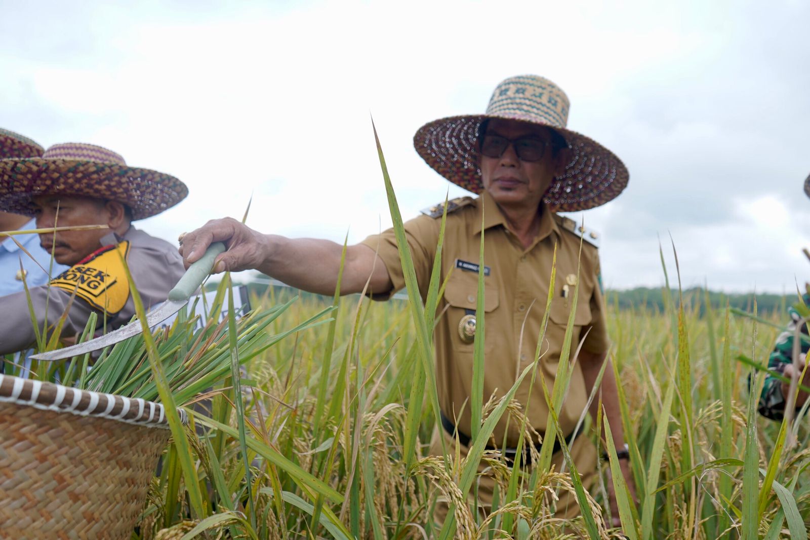 Pemkab Balangan Gandeng Petani Tingkatkan Produktivitas dan Ketahanan Pangan Daerah