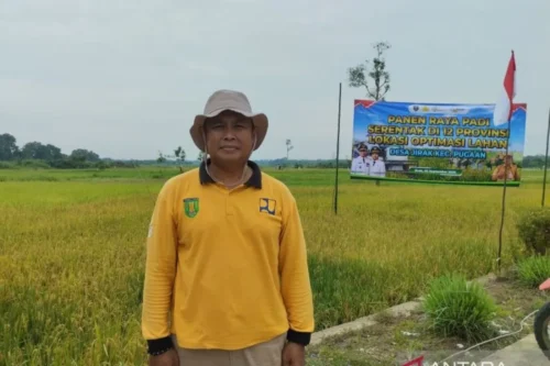 Jirak Food Cluster Sepanjang 3,5 kilometer, Ini Target Dinas PUPR Tabalong