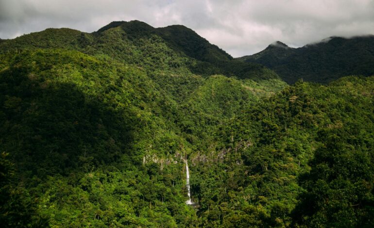 Mengupas Medan Hutan Mentewe, Lokasi Sulit Pencarian Helikopter Hilang
