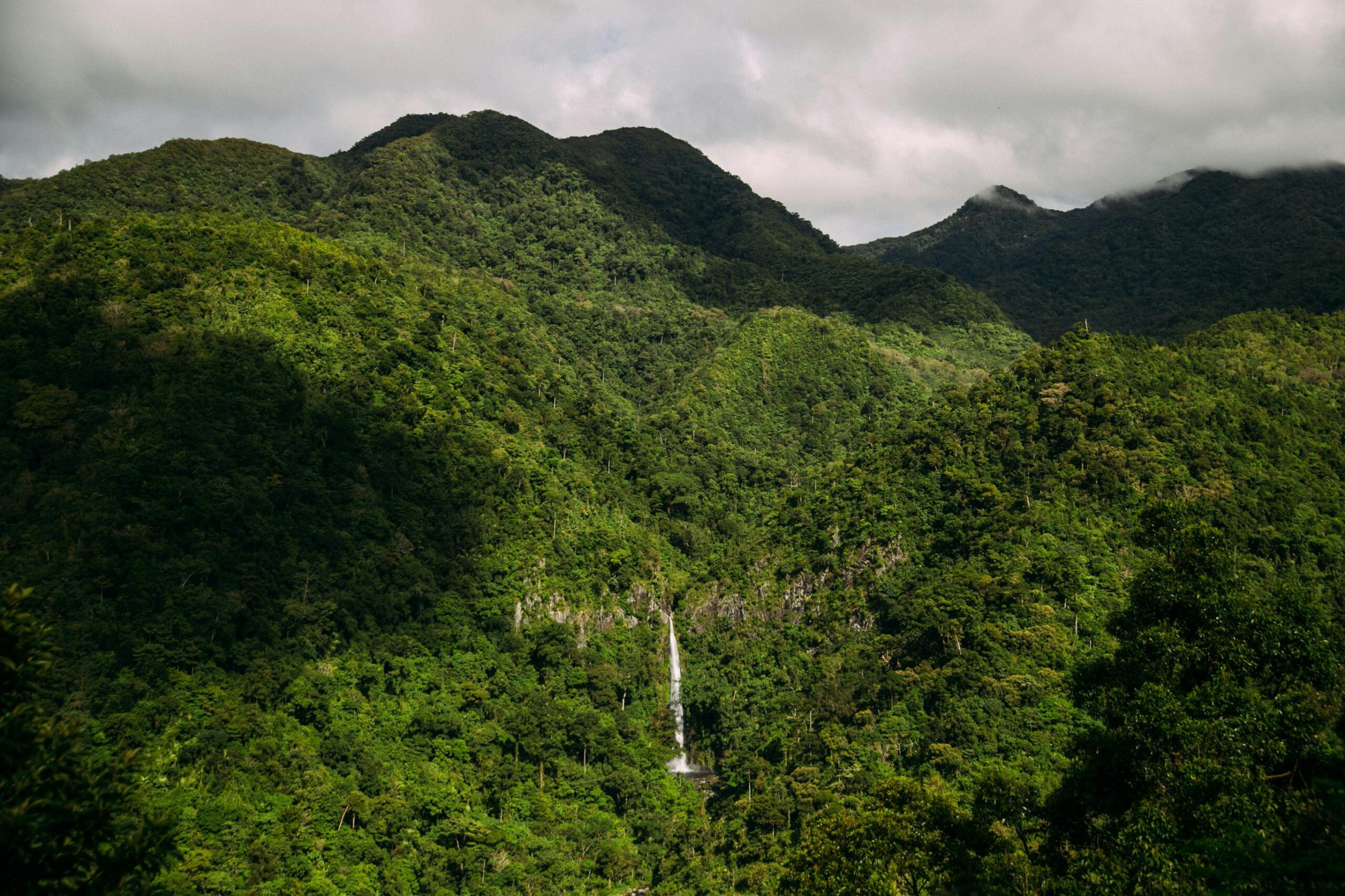 Mengupas Medan Hutan Mentewe, Lokasi Sulit Pencarian Helikopter Hilang
