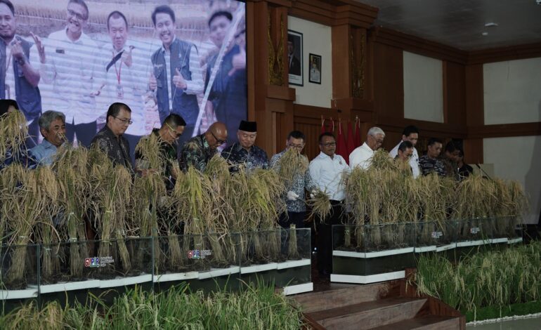 WAKIL BUPATI HULU SUNGAI SELATAN HADIRI GERAKAN NASIONAL PENGENDALIAN INFLASI PANGAN DI KALSEL