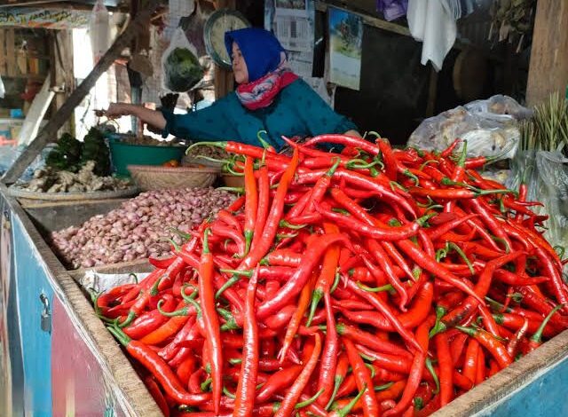 Harga Cabai di Martapura Anjlok , Daging Ayam dan Telur Justru Merangkak Naik