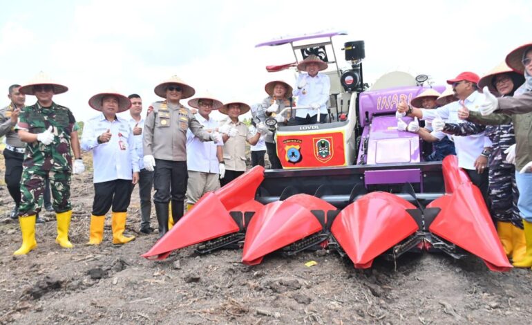 Targetkan Hasil Panen Meningkat, Polda Kalsel Kembali Tanam Jagung di Lahan Rawa Basah