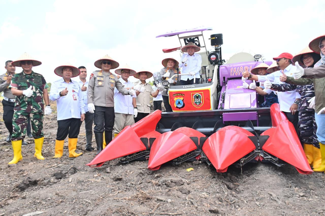 Targetkan Hasil Panen Meningkat, Polda Kalsel Kembali Tanam Jagung di Lahan Rawa Basah