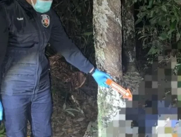 Seorang Warga Tanjung Tewas di Lahan Karet