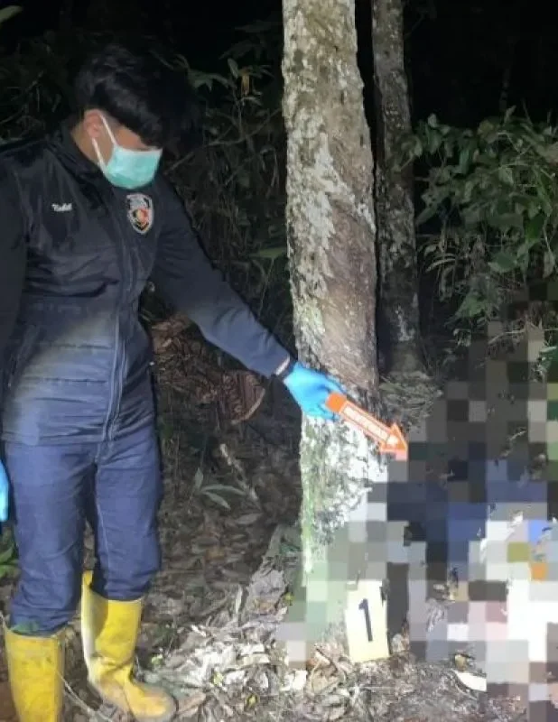 Seorang Warga Tanjung Tewas di Lahan Karet