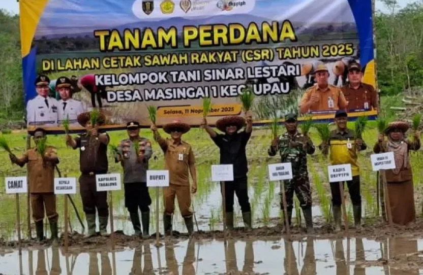 Kelompok Tani Sinar Lestari Tabalong Tanam Padi Perdana di Lahan Bekas Tidur