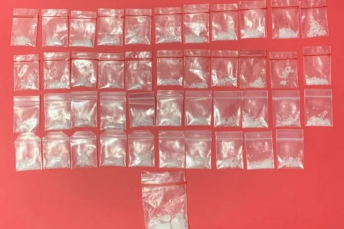 Saat Pesta Sabu Digerbebek, Anggota Polres Tabalong Sita 44 Paket