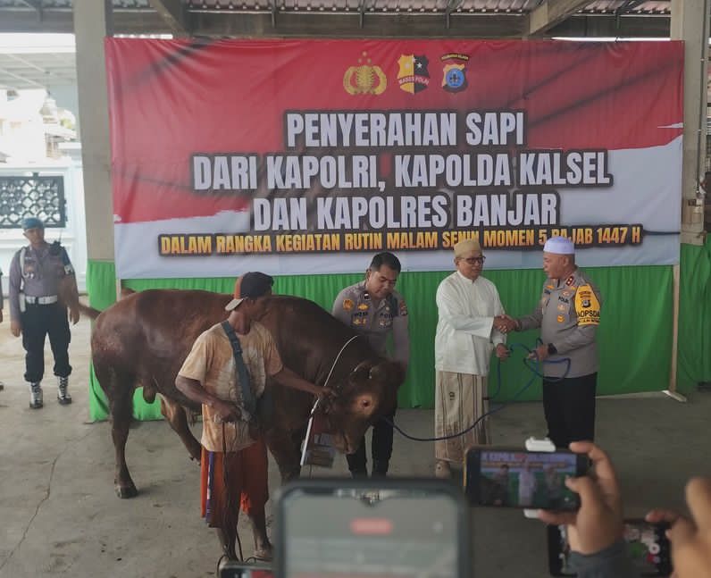 Dukung Momen 5 Rajab, Kapolda Kalsel Serahkan Bantuan Sapi