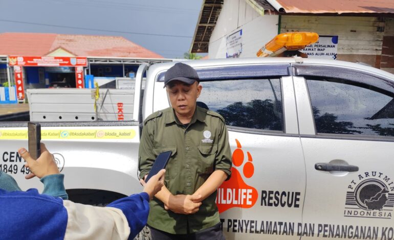 Kera Liar Serang Warga di Aluh Aluh – Beruntung Baru, Birahi Jadi Pemicu Utamanya!