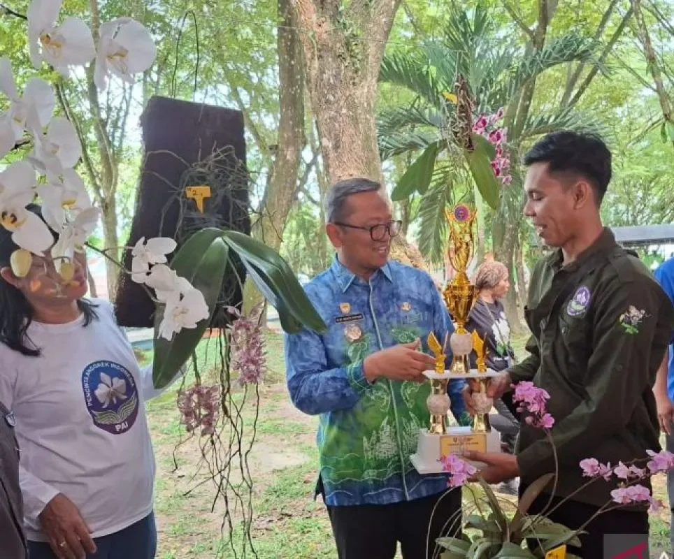 Tabalong Orchid Festival 2025, Anggrek Endemik Kalimantan Terbaik