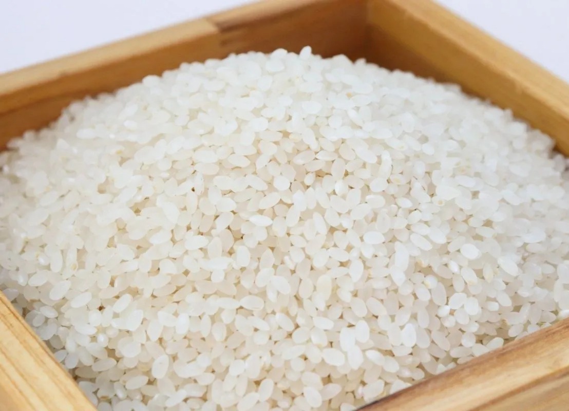 Dari Gudang Rp11.000, Beras Bulog Resmi Dijual Rp12.500 per Kg dari Sabang sampai Merauke