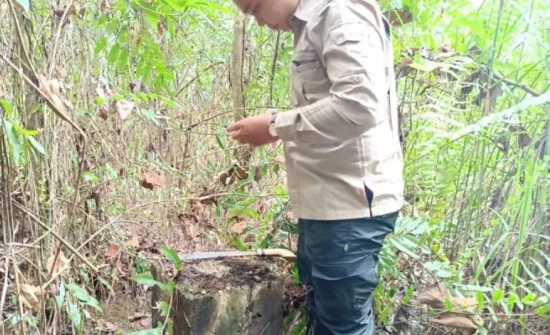 Tuntaskan Rehabilitasi 50 Pilar Batas Kecamatan di Tabalong