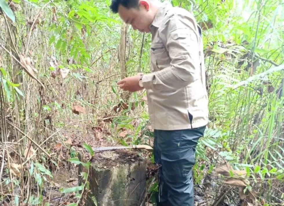 Tuntaskan Rehabilitasi 50 Pilar Batas Kecamatan di Tabalong