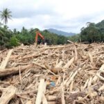 Segera Tetapkan Tersangka! Kayu Ilegal Tapanuli Masuk Gelar Perkara Polri–Kejaksaan Agung