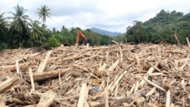 Segera Tetapkan Tersangka! Kayu Ilegal Tapanuli Masuk Gelar Perkara Polri–Kejaksaan Agung