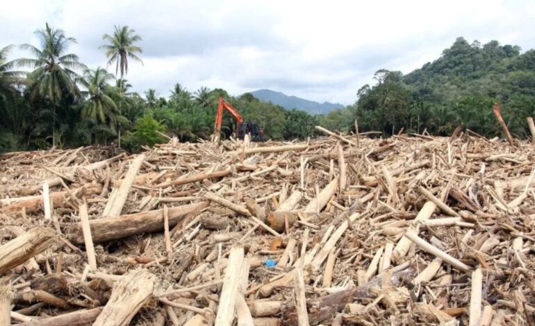 Segera Tetapkan Tersangka! Kayu Ilegal Tapanuli Masuk Gelar Perkara Polri–Kejaksaan Agung