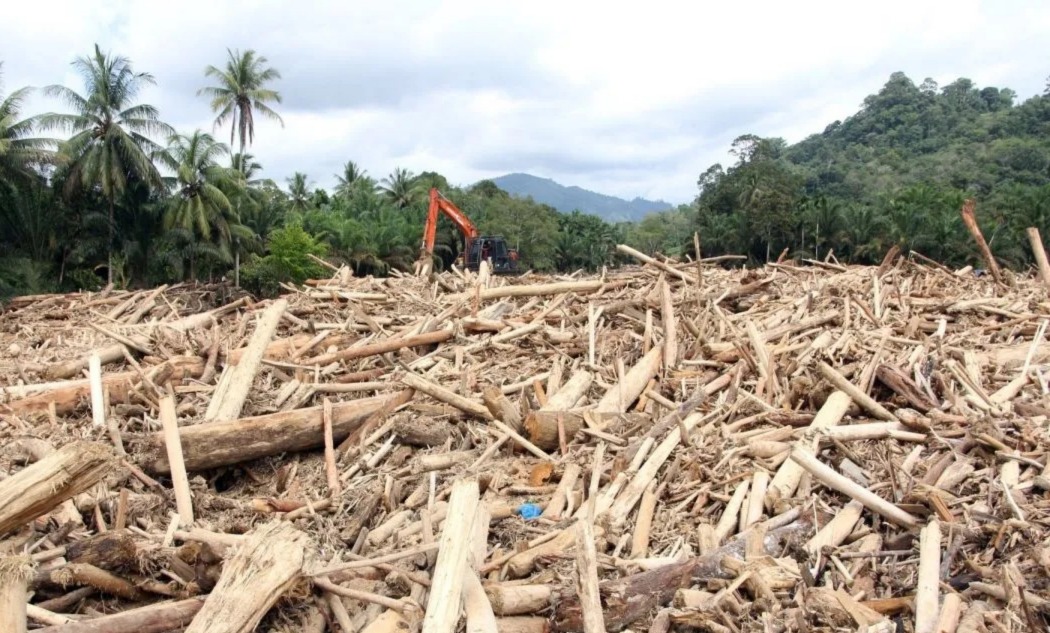 Segera Tetapkan Tersangka! Kayu Ilegal Tapanuli Masuk Gelar Perkara Polri–Kejaksaan Agung
