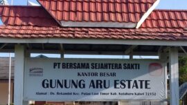 Sawit Diekspansi, Izin Dipertanyakan: Nama PT Bersama Sejahtera Sakti Terseret di Tengah Bayang-Bayang Deforestasi dan Dugaan Korupsi