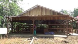 Dukung Produktivitas Peternak, Pemkab Tabalong Siapkan 3 Kandang Komunal Itik dan Sapi