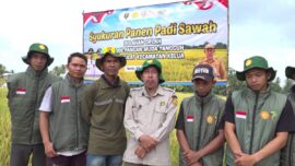 Tantangan di Balik Lahan Oplah, Brigade Pangan Tabalong Butuh Dukungan Alsintan dan Irigasi