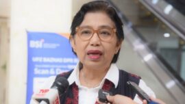 Anggota Komisi IX DPR RI Irma Suryani Chaniago