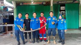 Kepercayaan Masyarakat Meningkat, Damkar Tabalong Tangani 189 Laporan dalam 4 Bulan