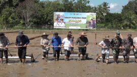 Tanam Perdana PM-AAS di Tabalong, Teknologi Sederhana Dorong Lompatan Produksi Padi