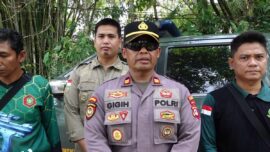 Polsek Banua Lawas Imbau Warga Tak Lukai Orangutan, Evakuasi Terus Diupayakan